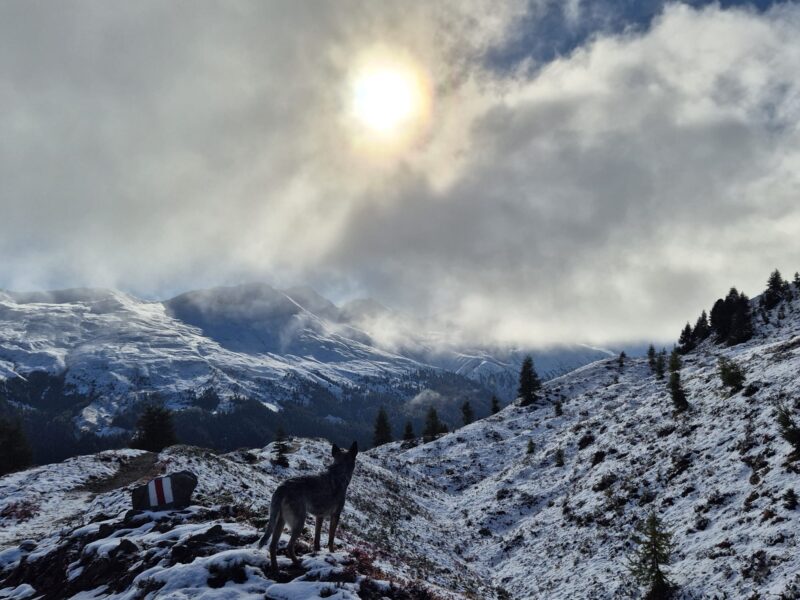 Wohltuende Ferien in den Bündner Alpen